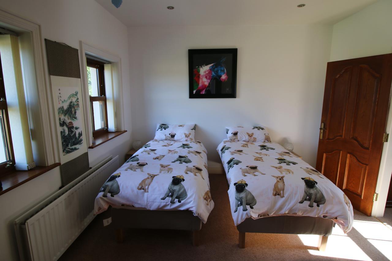 Feetnpaws Bed & Breakfast Portaferry Exterior photo